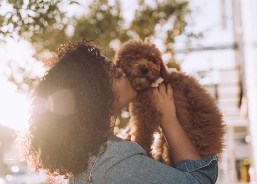 People and pets woman with curly hair kissing her cute golden doodle puppy dog